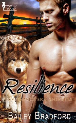 Cover of the book Resilience by Nan Comargue