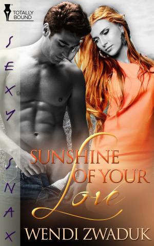 Cover of the book Sunshine of Your Love by Raven McAllan