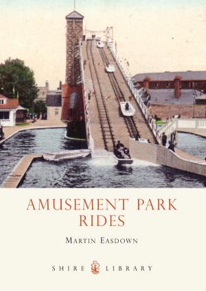 Cover of the book Amusement Park Rides by Mari Sandoz