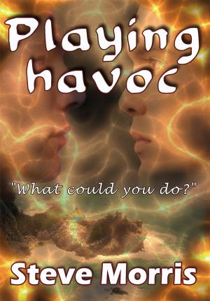 Cover of the book Playing Havoc by John Butler