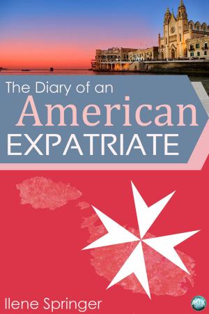 Cover of the book The Diary of an American Expatriate by Sally Jones