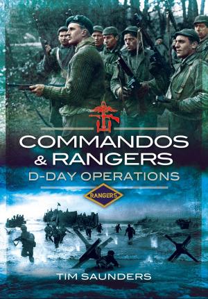 Cover of the book Commandos and Rangers by Jim Auton MBE