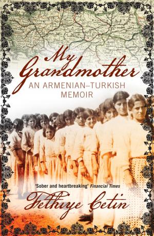 Cover of the book My Grandmother by Steve Fraser