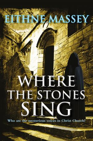 Cover of the book Where the Stones Sing by Brianóg Brady Dawson, Alan Nolan