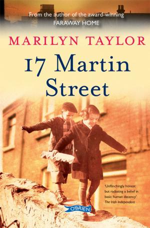 Cover of the book 17 Martin Street by Gerry Adams