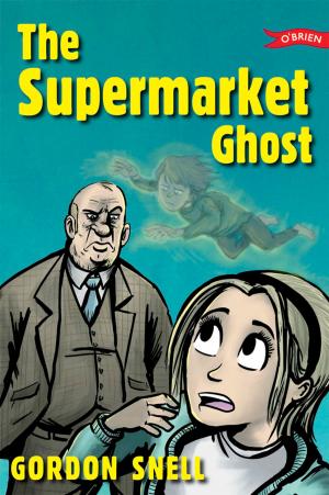 Cover of the book The Supermarket Ghost by Aubrey Flegg
