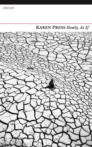 Cover of the book Slowly, As If by Marina Tsvetaeva