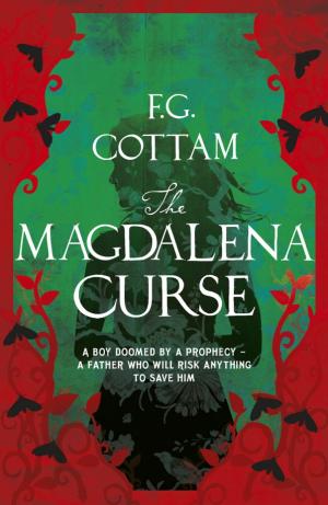 Cover of the book The Magdalena Curse by Gemma Malley
