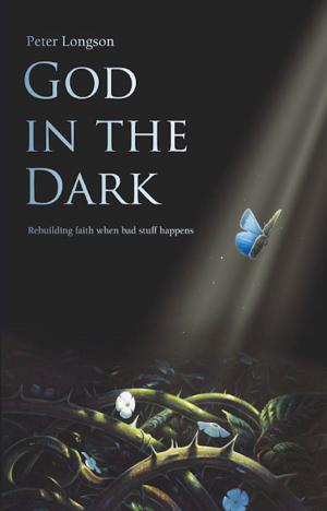 Cover of the book God in the Dark by J. Philip Newell