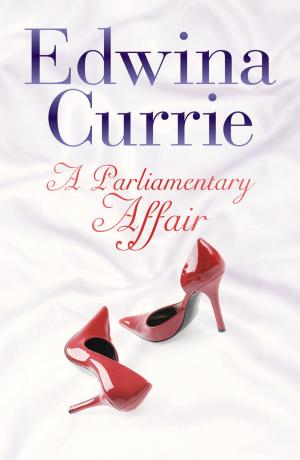 Book cover of A Parliamentary Affair