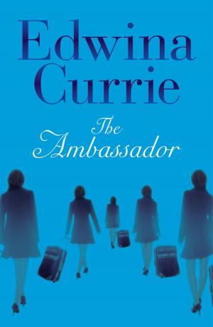 Cover of the book The Ambassador by Jason Sinclair