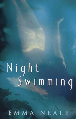 bigCover of the book Night Swimming by 