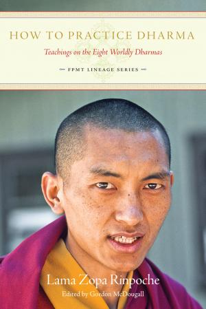Cover of the book How To Practice Dharma: Teachings on the Eight Worldly Dharmas by Venerable Adrian Feldmann