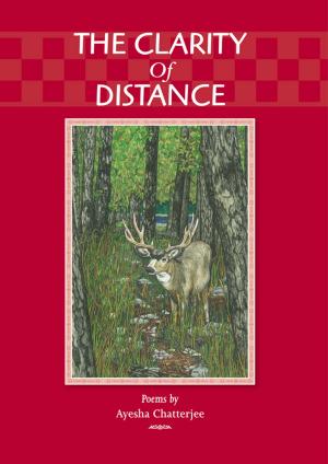 Cover of the book The Clarity of Distance by EVELYN MATTERN