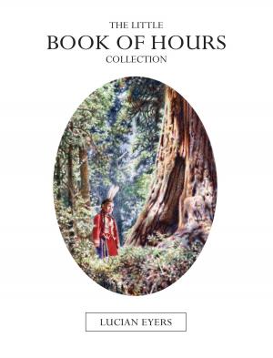 bigCover of the book The Little Book of Hours Collection by 