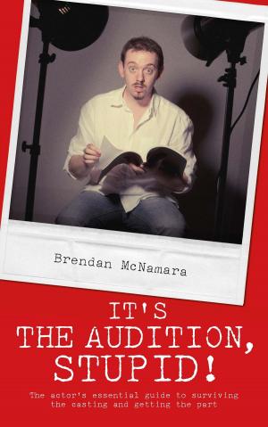 Book cover of It's the Audition, Stupid!: The actor's essential guide to surviving the casting and getting the part