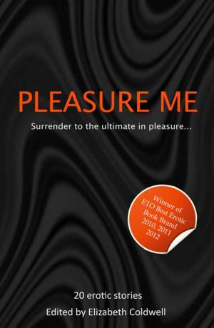 Book cover of Pleasure Me