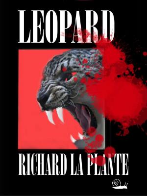 Cover of the book Leopard by Mary Roberts Rinehart