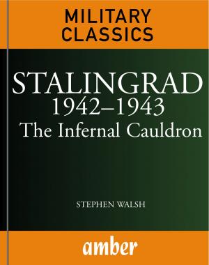 Book cover of Stalingrad 19421943: The Infernal Cauldron