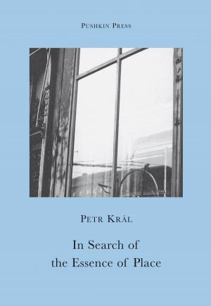Book cover of In Search of the Essence of Place