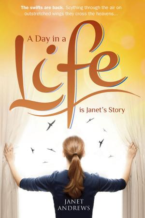 Cover of A Day In A Life