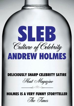 Cover of the book Sleb by Bruce Rainnie