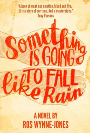 Cover of the book Something is Going to Fall Like Rain by Bernie Power