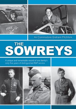 bigCover of the book The Sowreys by 