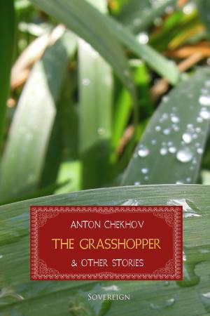 Cover of the book The Grasshopper and Other Stories by Plato