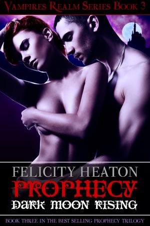 Cover of the book Prophecy: Dark Moon Rising (Vampires Realm Romance Series #3) by Felicity Heaton