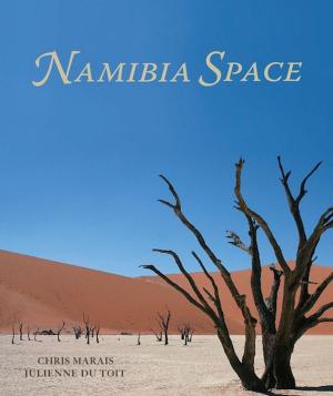 Book cover of Namibia Space