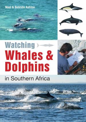 Cover of the book Watching Whales & Dolphins in Southern Africa by Peter Piegl
