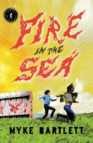 Book cover of Fire in the Sea