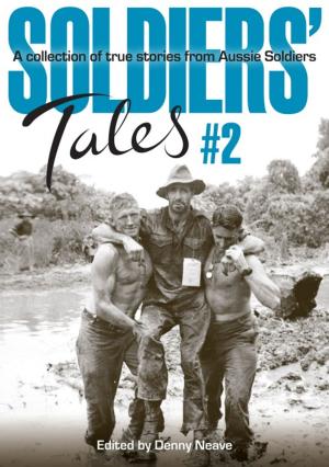 Book cover of Soldier's Tales 2