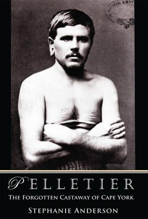 Cover of the book Pelletier by John Bois