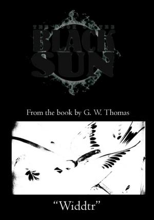 bigCover of the book The Book of the Black Sun: Widdtr by 