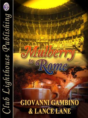Book cover of Mulberry To Rome
