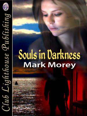 Cover of the book Souls in Darkness by T.L. Davison