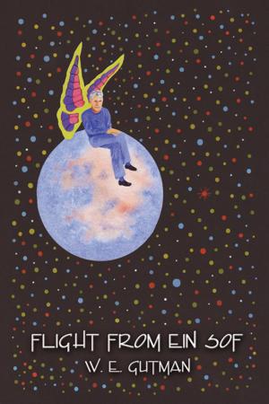 Cover of the book Flight from Ein Sof by Patricia Amis