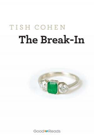 Book cover of The Break-In