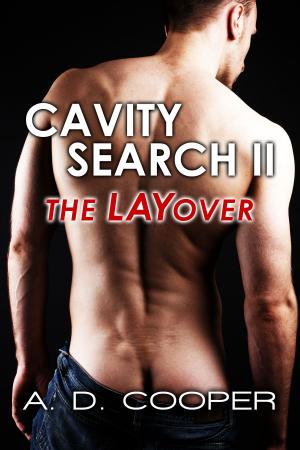 Cover of the book Cavity Search II: The LAYover by Tiana Dorsey