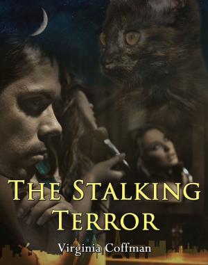 Cover of the book The Stalking Terror by K.D. Reed