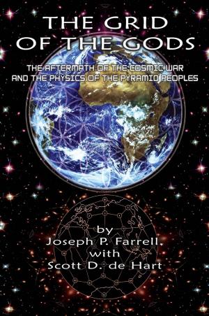 Cover of the book Grid of the Gods: The Aftermath of the Cosmic War and the Physics of the Pyramid Peoples by Stephen Barber