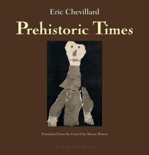 Book cover of Prehistoric Times