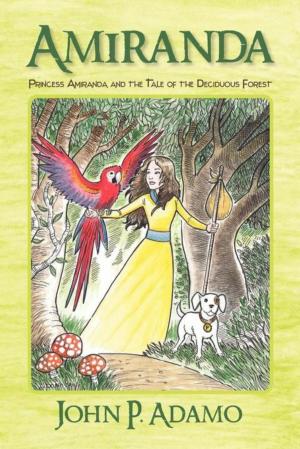 Cover of the book Amiranda by Jenny Lee Glazebrook