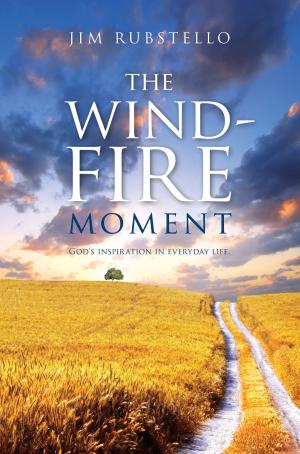 Cover of the book The Wind-Fire Moment by Dirk Schmidt