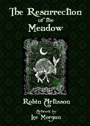 Cover of the book The Resurrection of the Meadow by MIchael Berman PhD