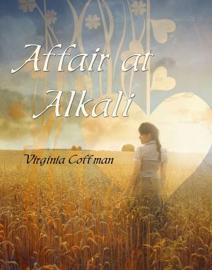 Cover of the book The Affair at Alkali by Rae Simons