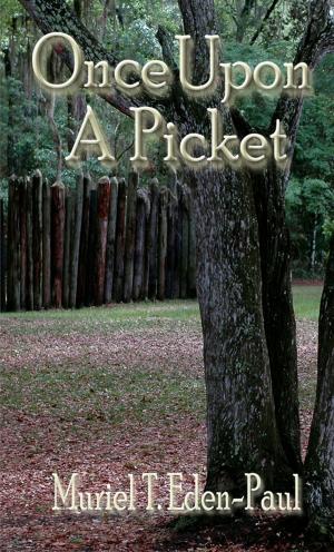 Cover of the book Once Upon A Picket by Shawn D. Brink