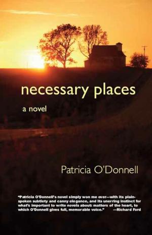 Cover of the book Necessary Places: A Novel by Jeffrey V. Wells, Allison Childs Wells